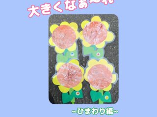 大きくなぁれ🌻～ひまわり編～
